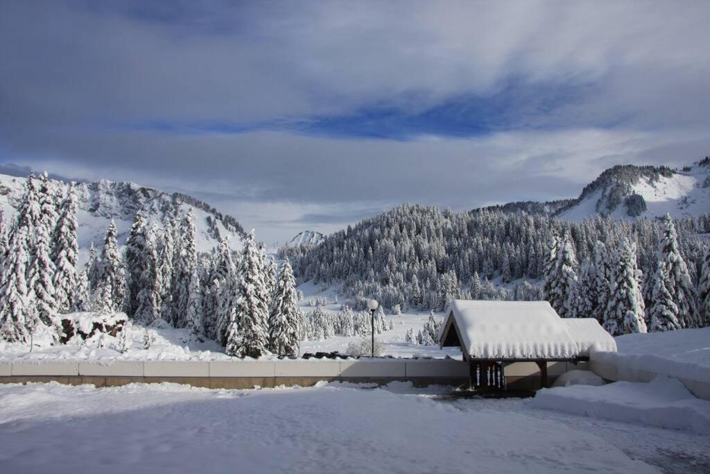 Appartement Au Sommand Au Pied Des Pistes Mieussy Екстериор снимка